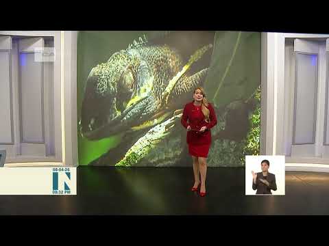 Desde Cuba, breves nacionales