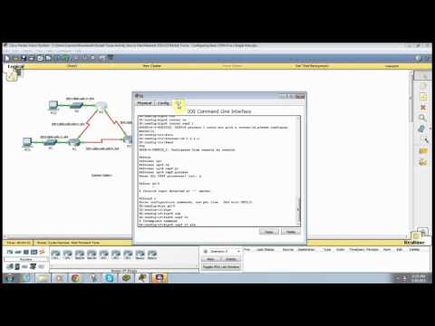 Packet Tracer 8.3.3.5