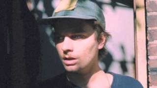 Mac DeMarco -- Organ Ronald Donkey Water