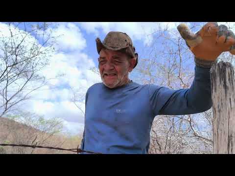 RELÍQUIA DO SERTÃO FAZENDA PEREIRO CASA DO SR PITU, HIDROLÂNDIA CEARÁ