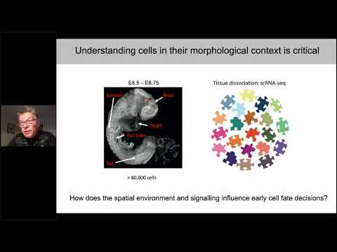 SCOG Virtual Lecture Series - Wolf Reik (Babraham Institute, Cambridge/UK)