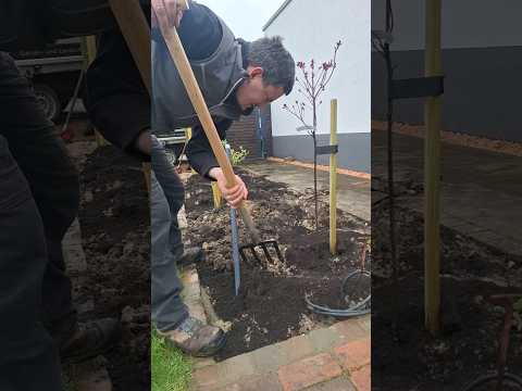 Schlechten Gartenboden verbessern