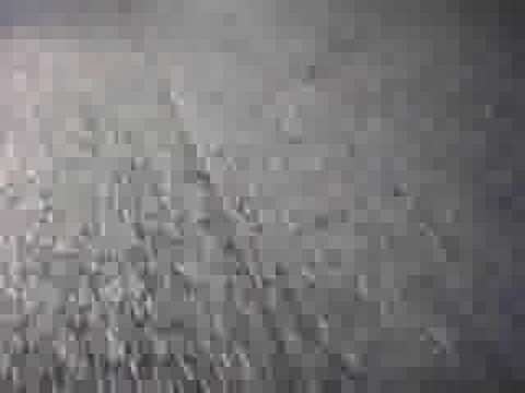 Aprilia sxv 450  helmet camera supermoto at three sisters