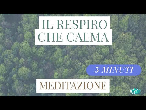 3 MINUTI - IL RESPIRO CHE CALMA - #meditazionequotidiana