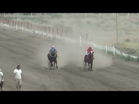 RE LENTO  Club Hipico Añelo -   Añelo -     27-11-2022