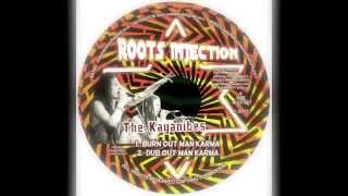 ROOTS INJECTION RI10027 THE KAYANITES RAS MUFFET