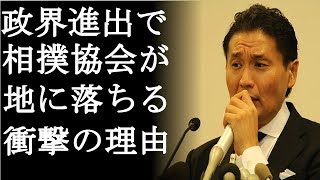 【衝撃】貴乃花が政界進出するがことに相撲協会が恐れている理由がやばすぎる(まるごと通信局)