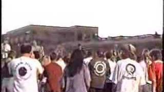 Skankin Pickle - I Missed the Bus