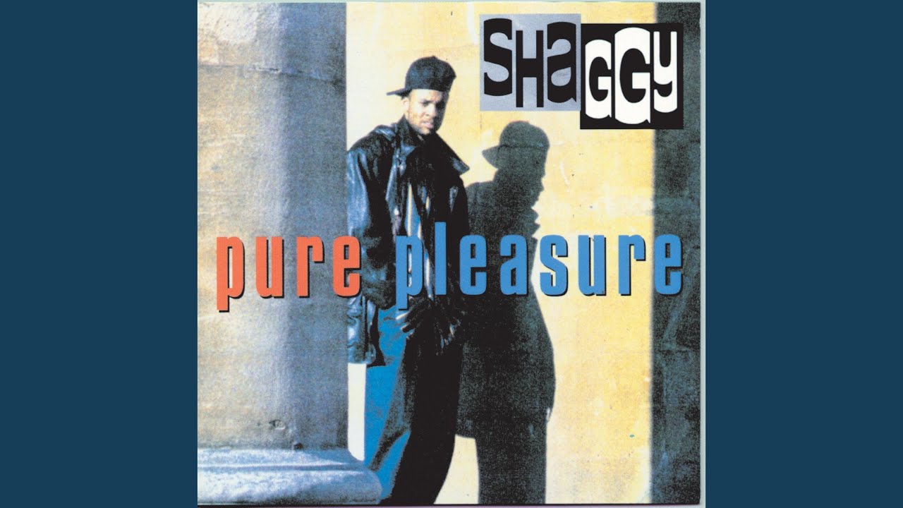 Shaggy - Soon Be Done