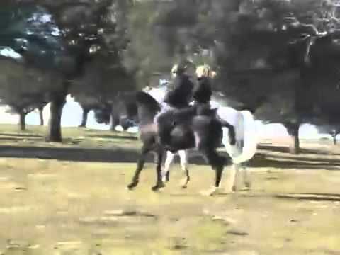 Paulo Caetano... et Myriam Caumes