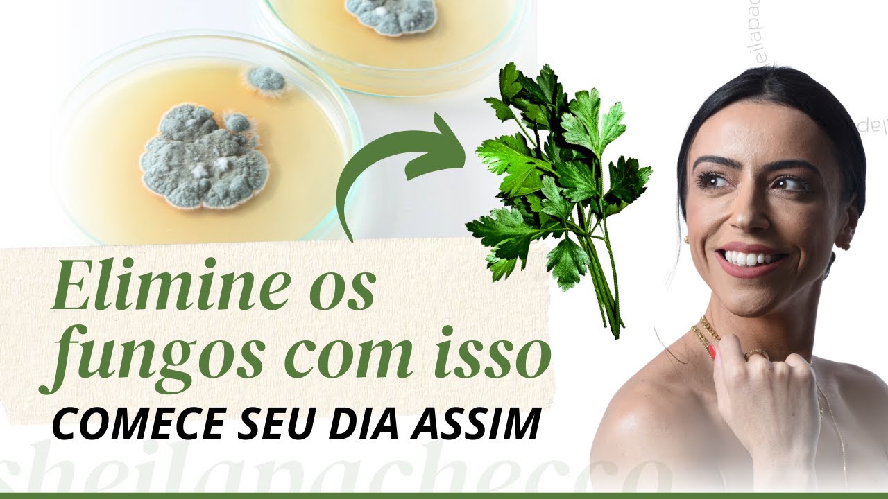 Café da Manhã Antifúngico | COMECE BEM O SEU DIA