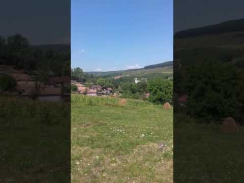 O zi călduroasă de vară în ghirolt!