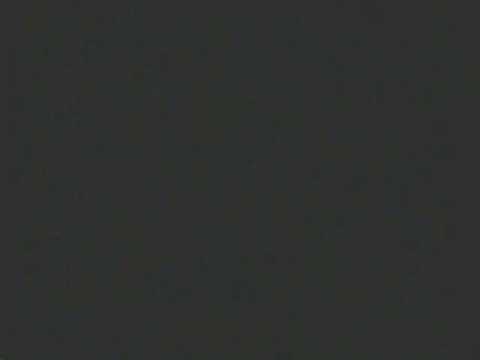 Final Fantasy XII IZJS 100% Gendarme Trick