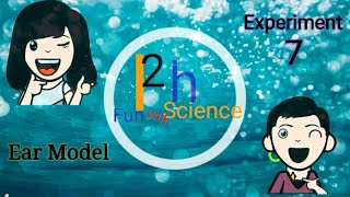 Experiment 7 || Ear Model || I2h Fun with Science