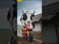 Bike Comedy Funny Cow Trending Viralvideo Shorts