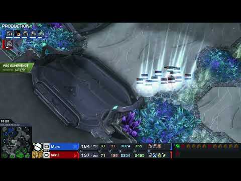 Amazing 360 Surround (2022)