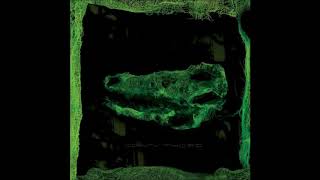 Avey Tare - 3 Umbrellas