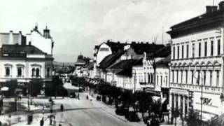 Valeriu Sterian   Cantec de oameni