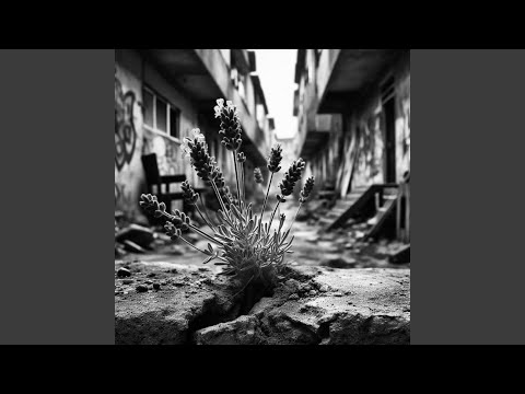 Miniatura de Lavendel Remix