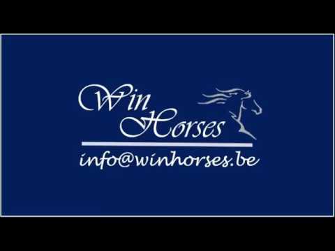 Delicanto - 3.5yo gelding by Don Index x Sir Donnerhall