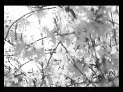 The story of the impossible - Peter von Poehl