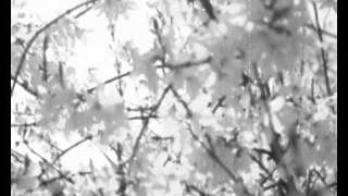 The story of the impossible - Peter von Poehl