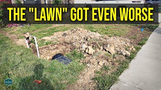 Lawn Rescue UPDATE // ONE Application That Helped But Irrigation Install Destroyed The Lawn