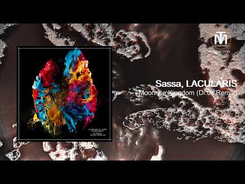 Sassa, LACULARIS - Moonrise Kingdom (Di:us Remix) [Androgyne Audio]