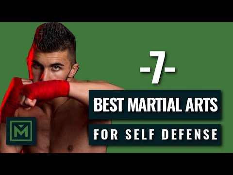 The Best Martial Arts Styles for Self Defense - Mantelligence