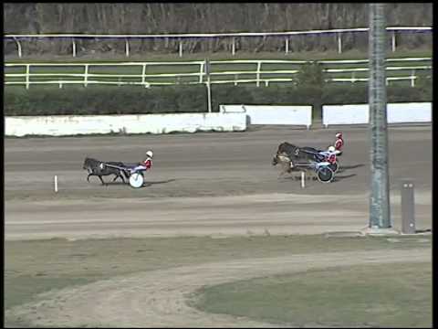 Trotto 09/11/2014  - corsa pony