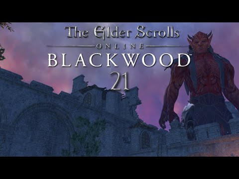 Let's Play ESO - Blackwood [Blind] [Deutsch] Part 21 - Der Sturm Dagons