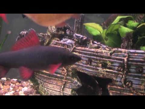 Watch Video on YouTube