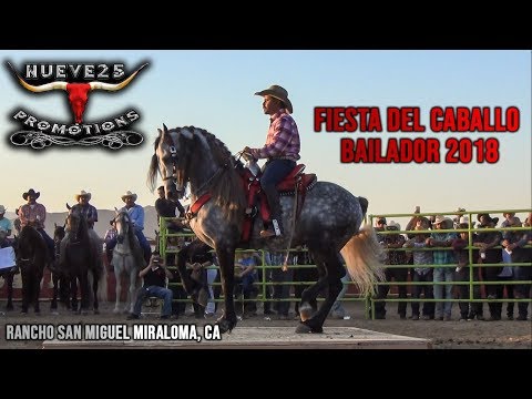 download lagu mp3 mp4 Los Mejores Caballos Bailadores, download lagu Los Mejores Caballos Bailadores gratis, unduh video klip Los Mejores Caballos Bailadores