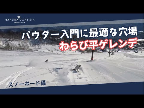 Video: 白馬コルチナのコース紹介【わらび平ゲレンデ】パウダー入門者に最適な穴場 #snowboard #hakuba #スキー場