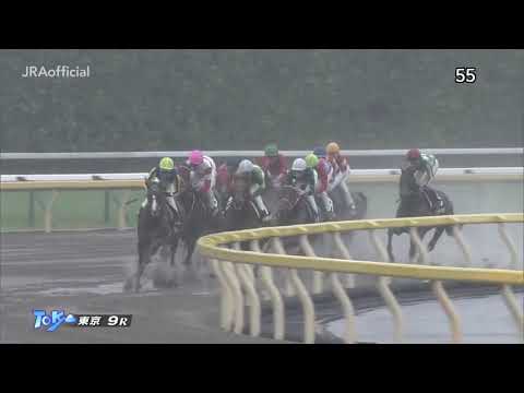 2019.11.23  Cattleya Sho (JPN) - Dieu du Vin