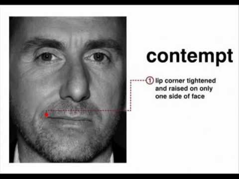 Lie to me - Human Emotions (7-basic)