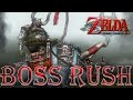 Zelda Twilight Princess HD All Mid Bosses On Hero Mode No Damage