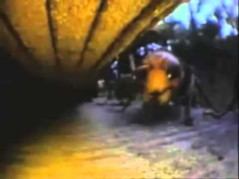 lounis ait menguellet -Tizizwa d w-aṛṛeẓ -Yakcem w-aṛṛeẓ taɣṛest