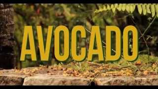 Jah9 - Avocado (Official Video)