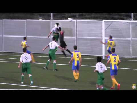 CERDANYOLA FC - PALAMÓS CF (2-1). Crónica del partit.