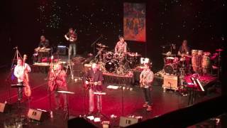 Blue Dogs with Papa Futch - Homegrown Tomatoes