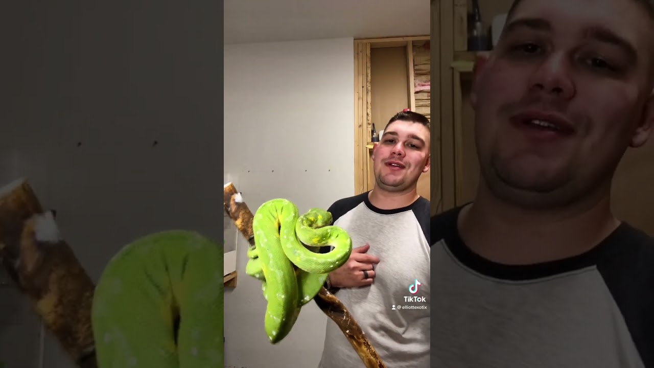 Emeralds vs Green!?!