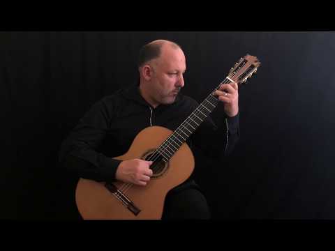 Op. 35, No. 13 by Fernando Sor - Michael Nigro