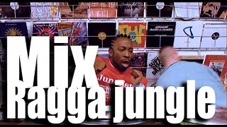 mix#7 ragga jungle