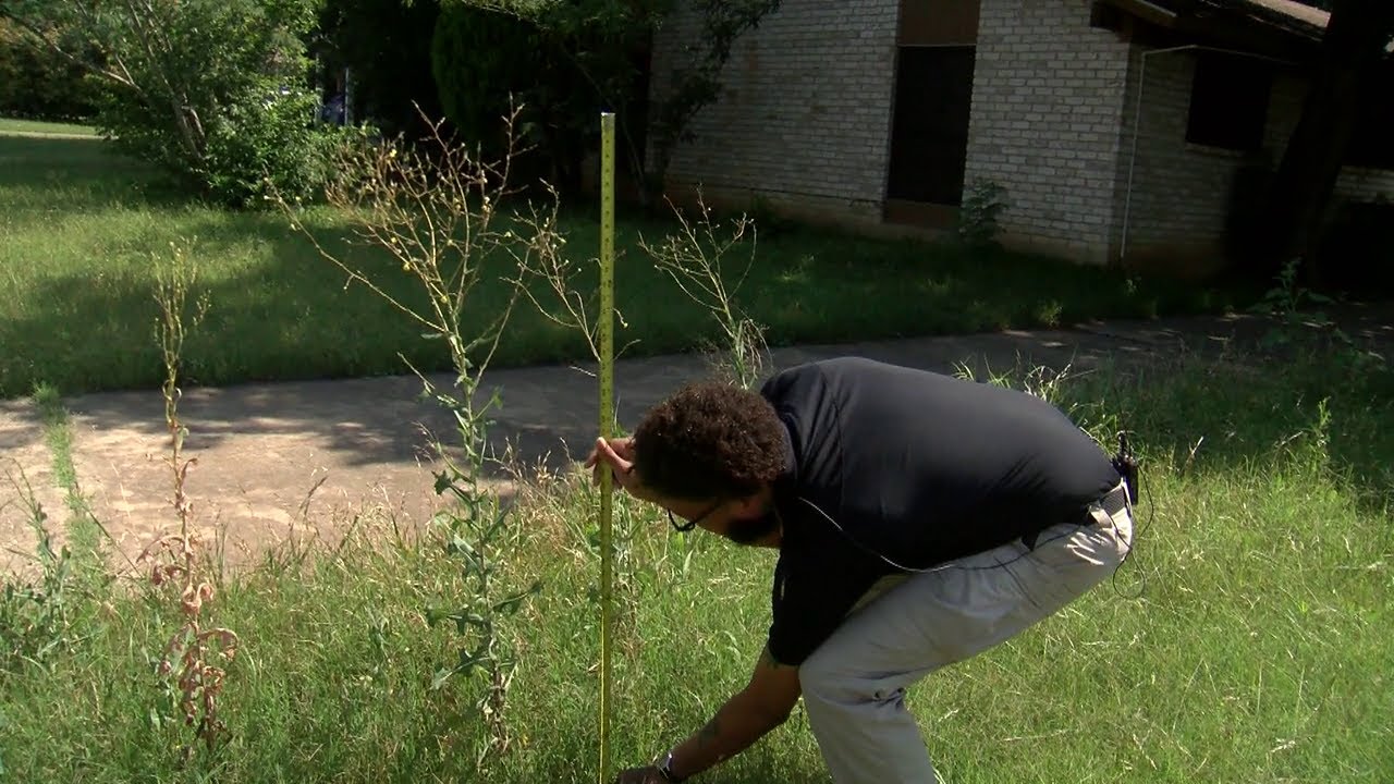 Uncovering the Charm of Austin's Domain Northside Neighborhood