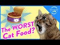 Cat Expert Explains How To Read Cat Food Labels