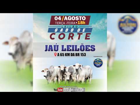 LEILÃO GADO DE CORTE  - JAU LEILÕES  - JAU DO TOCANTINS  - 04 / 08 / 2026