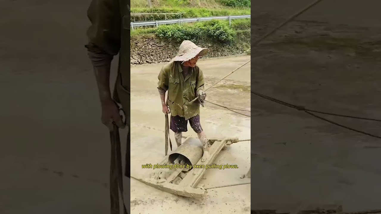 Traditional farming operations.