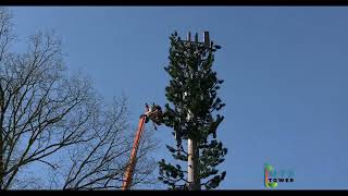 Camouflaged Telecom Towers by MTS Tower – Seamless Integration with Nature & Urb