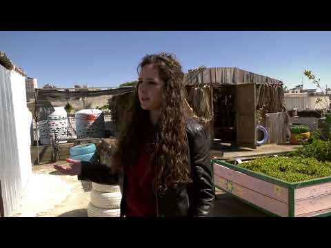 Being 20 - PNN - Rooftop Garden - HDTV